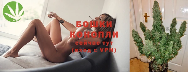 apvp Вяземский