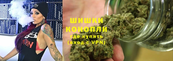 apvp Вяземский