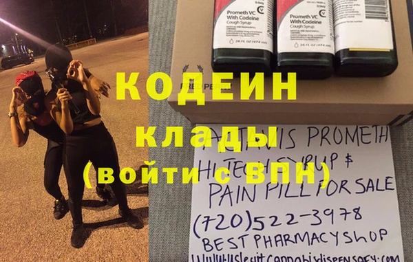 apvp Вяземский