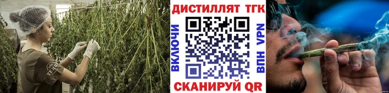 где найти наркотики  Кызыл  Дистиллят ТГК Wax 