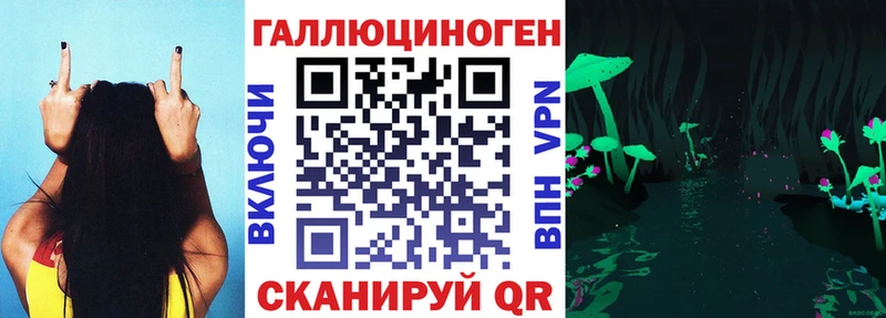 Псилоцибиновые грибы мицелий  где купить наркоту  darknet формула  Кызыл 